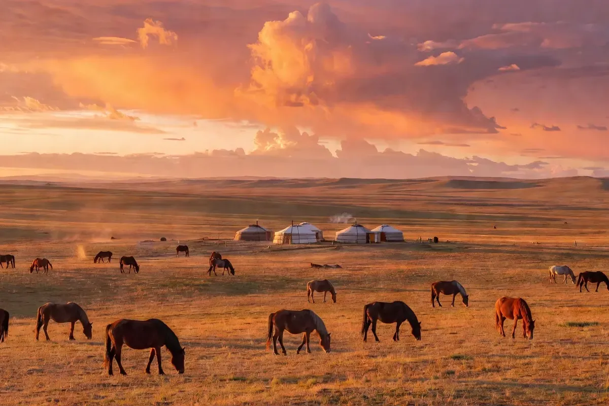 Voyage Mongolie 2026 : guide pratique complet depuis la France
